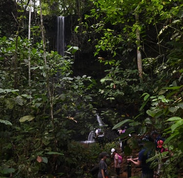 A group of hikers trekking through a lush green tropical rainforest toward a hidden waterfall.