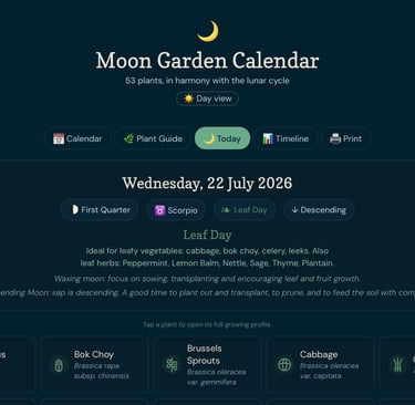 moon calendar 2026