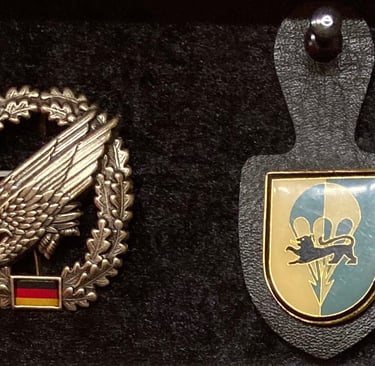 Fallschirmjäger 313