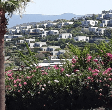 Türkbükü Otelleri