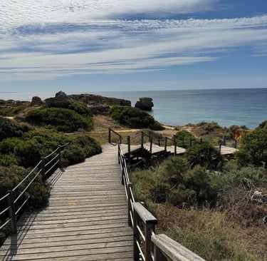 Boardwalk steps leading to the Atlantic Ocean in Portugal