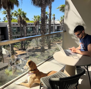 Venture Along co-founder working on a laptop with his dog on a balcony overlooking palm trees.