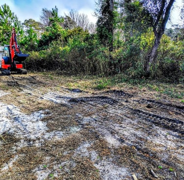 brush mowing lot thinning