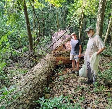 Neil Jones from Tall Timbers and Christopher Linton in the woods near Arabella