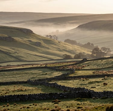 a  view of fields and walls in the Yorkshire Dales