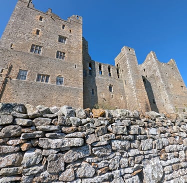large castle surroung by stone wall.