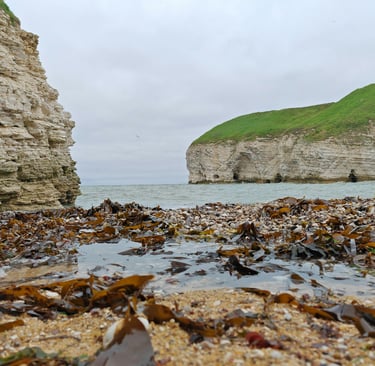 a view of the coastline in Yorkshire showing chalk cliffs.