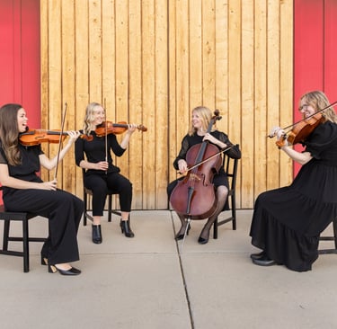 Mandy Hofheins' string quartet, Souvenir Strings that she is also a part of