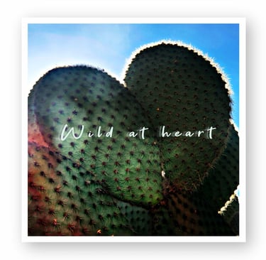 Heart-shaped prickly pear cactus paddles under a bright blue desert sky with Wild at Heart text overlay.