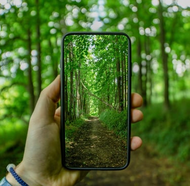 Hand holding a smartphone capturing a scenic dirt hiking trail through a lush green forest.