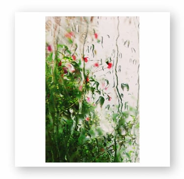 Rain-streaked window with green foliage and vibrant red flowers visible through the wet glass, showcasing a natural, serene