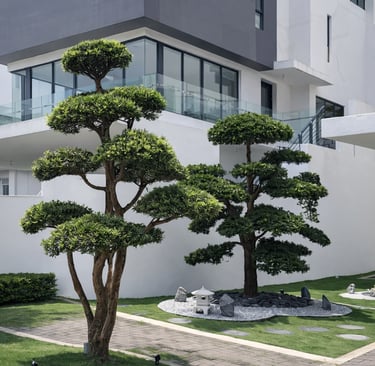 Modern residential landscape design with sculpted garden trees and zen garden by Yie Yang Landscape