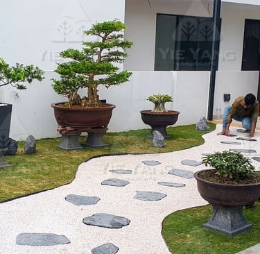 Bonsai garden display with white gravel and stepping stones – Yie Yang Landscape
