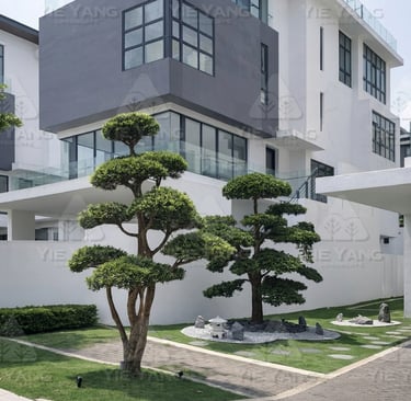 Bonsai trees with Japanese stone garden at modern bungalow – Yie Yang Landscape