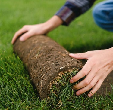 Turf grass installation and landscaping implementation – Yie Yang Landscape
