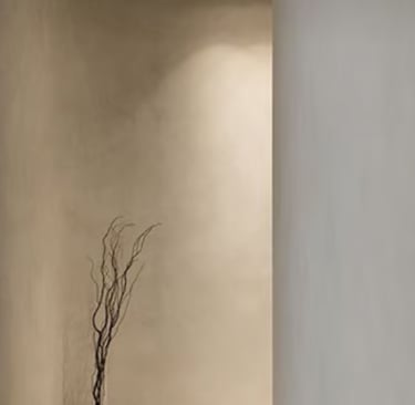 Minimalist interior with a beige textured wall and a decorative dried branch arrangement.