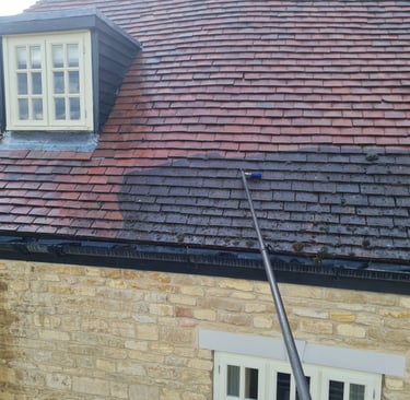 Roof cleaning