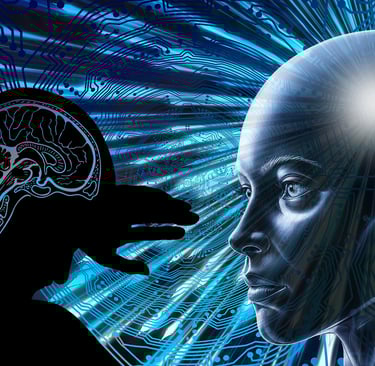 How Google’s Algorithm Impacts Your Website Rankings