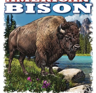 Illustration of an American Bison