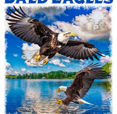 Illustration of Bald Eagles