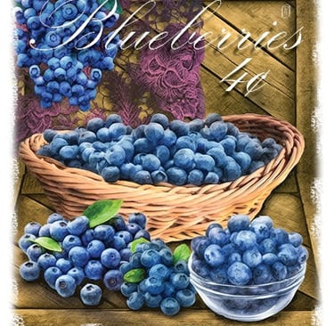 Cachet illustration of blueberries in basket and table
