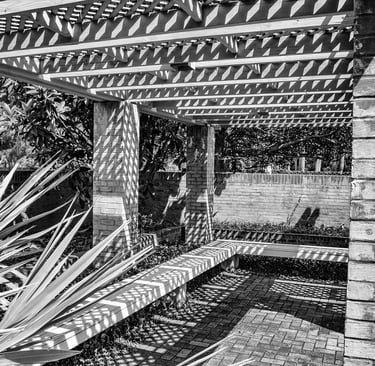 Photo of shadowed patterns in outdoor park