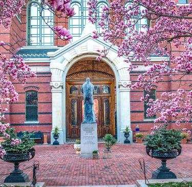Photo of tulip trees framing statue in Washington DC