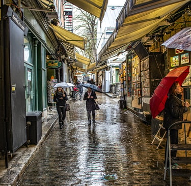 Photo of wet Quebec street scene