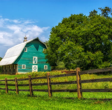 Photo of green barn in VA