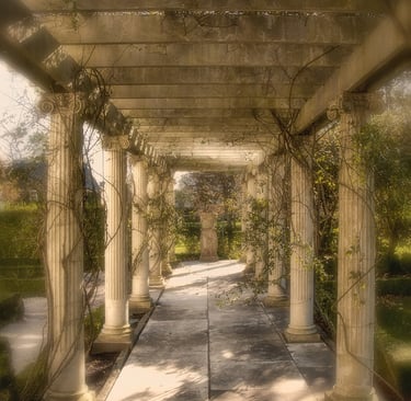 Photo of vine covered columns in garden