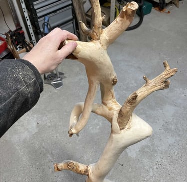 Ein Lichtbringer entsteht