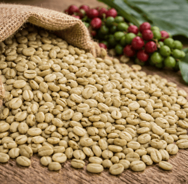 Robusta Green Coffee Beans