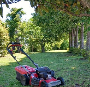 raseraba al-ko narni scalo terni umbria taglio erba pulizia giardino amelia 