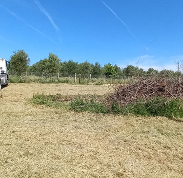 gestione potature abbattimenti amelia fornole giove attigliano guardea escavatore pulizia giardini