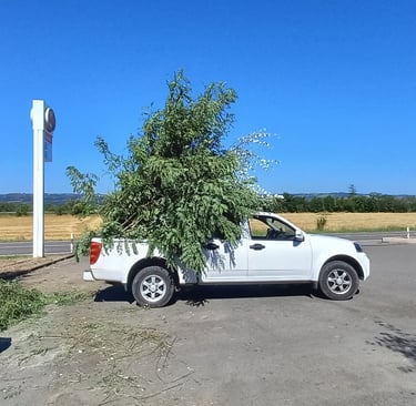 manutenzione aree verdi gestione giardini guardea alviano pulizia terreni provincia terni amelia