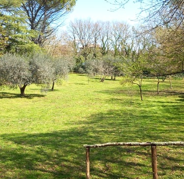 taglio erba terni manutenzione verde 3792561403 giardiniere 