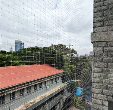 A clean and neat balcony fully enclosed with pigeon netting, showcasing safety and care