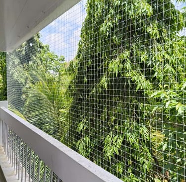Pigeon netting stretched tightly over a large window, protecting the space from birds.