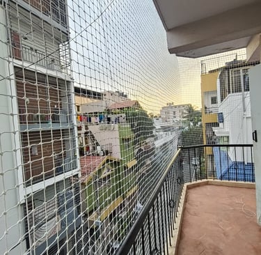 protecting a rooftop garden from birds in a busy Mumbai neighborhood