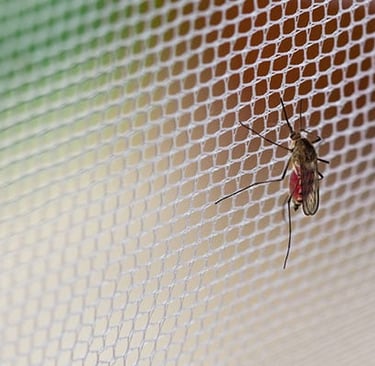 Technician carefully fitting a mosquito net frame on a residential window in Bangalore.