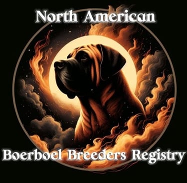 North American Boerboel Breeders Registry logo featuring a mastiff profile silhouette against fiery clouds and a glowing