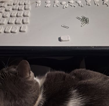 A gray cat rests near a desk with Elder Futhark rune stones being crafted