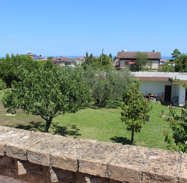 vista panoramica del giardino dal terrazzo
