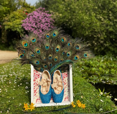 Bespoke framed pointe shoe art with peacock feathers
