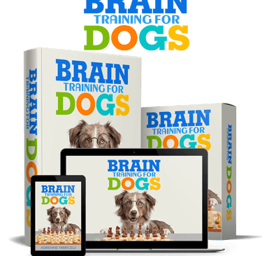 Dog Brain Training Books