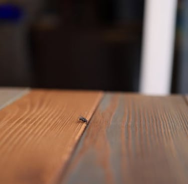 Foto de Valeria Boltneva