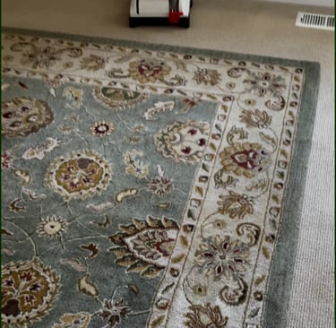 A vintage floral patterned area rug in sage green and cream being cleaned by a professional vacuum.