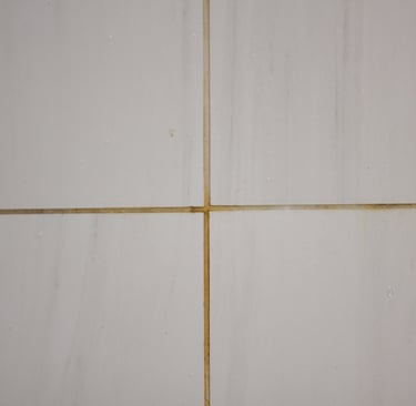 Dirty Shower Tile and Grout