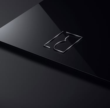 Laurent Bayot french designer