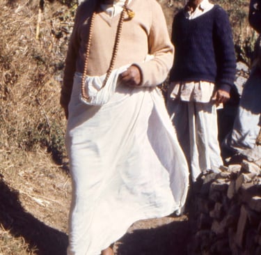 Babaji cammina con devoti